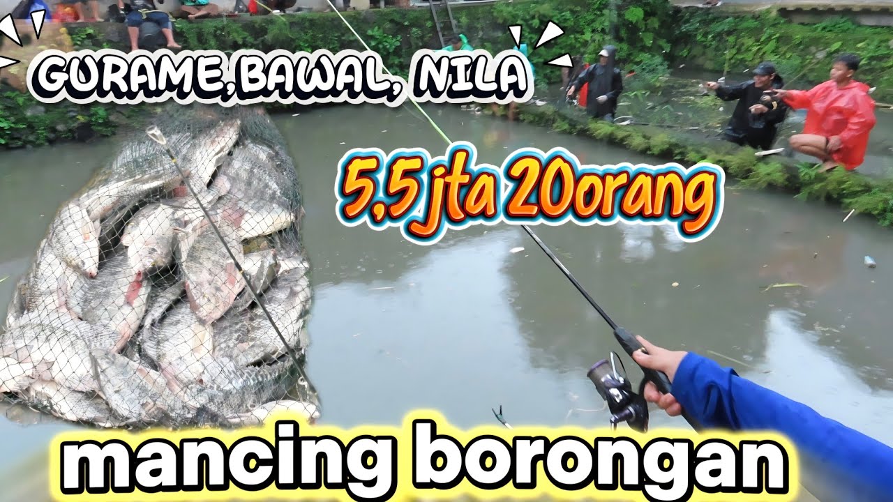 DILUAR BMKG...‼️ MANCING BORONGAN DIMUSIM HUJAN GX PAKE RIBET Sat Set