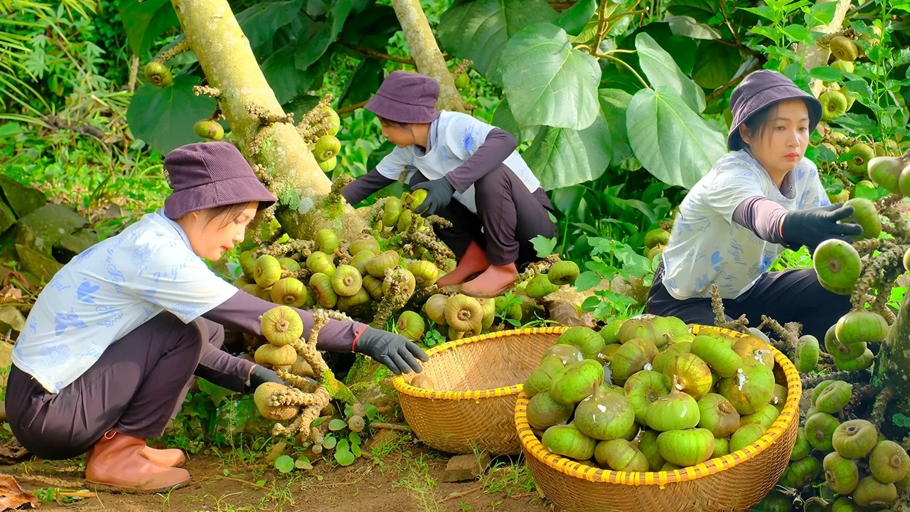 Harvesting Fresh Figs for Market Sale | Crispy Tofu Cooking & Peaceful Farm Daily Life
