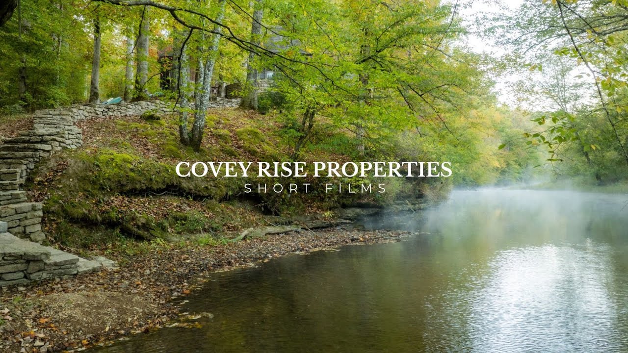 FOR SALE - 170 Warriors Path Ridge Rd, Summertown, TN