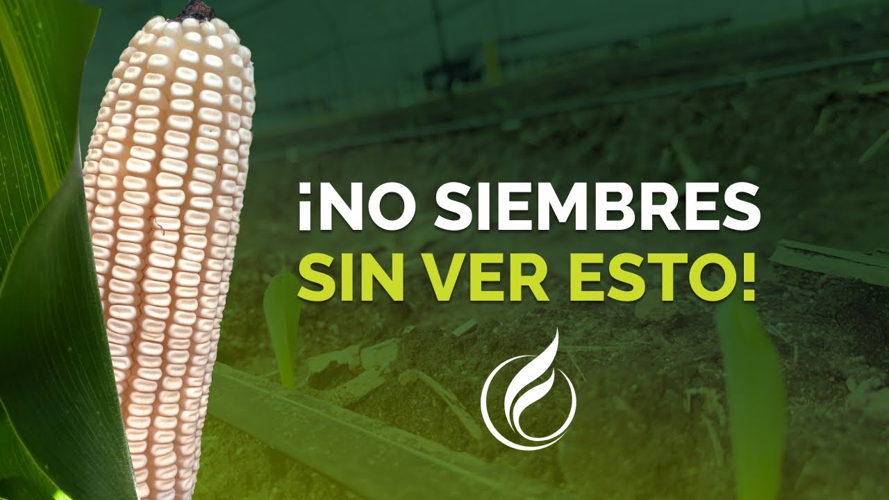 FECHAS DE SIEMBRA 2026: ¿CUÁNDO ES EL MOMENTO EXACTO EN TU REGIÓN? | ASPROS.