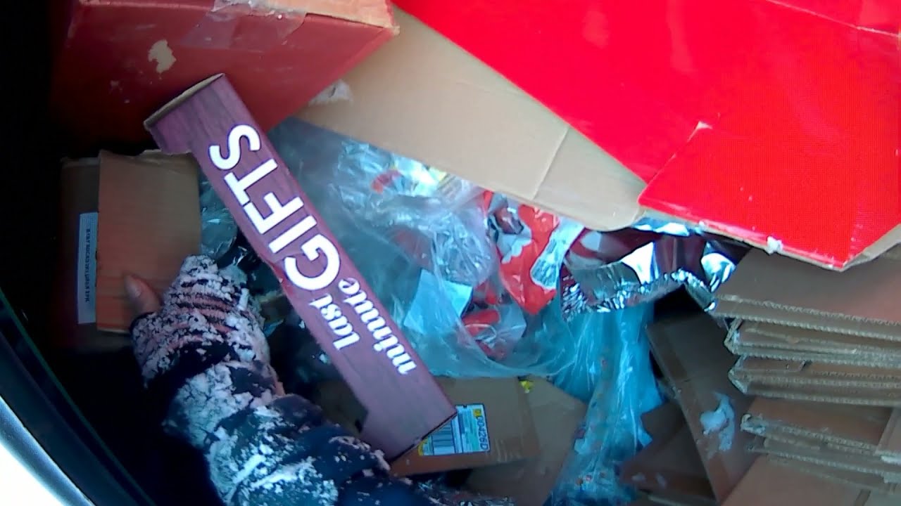 DayTime Dumpster Dive Was It A Complete Bust