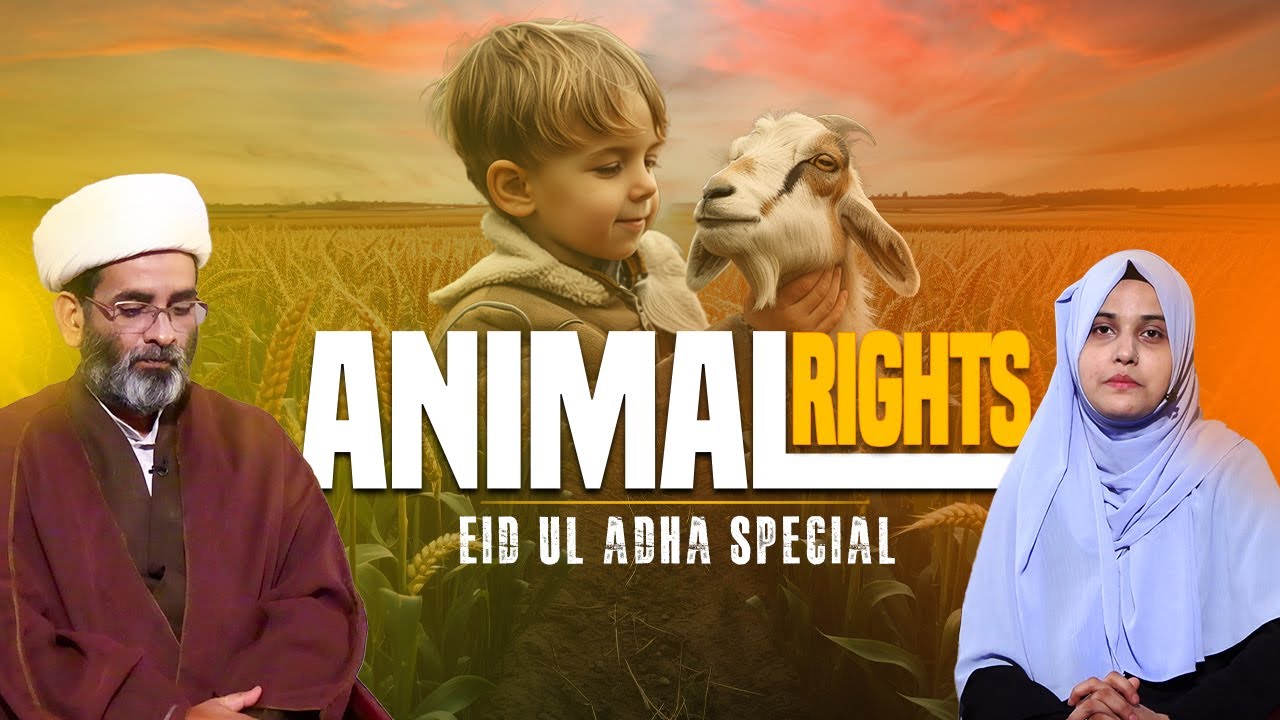 Animal Rights || Talkshow || Maulana Kamal Ahmed || Nazar Fatema || Channel WIN