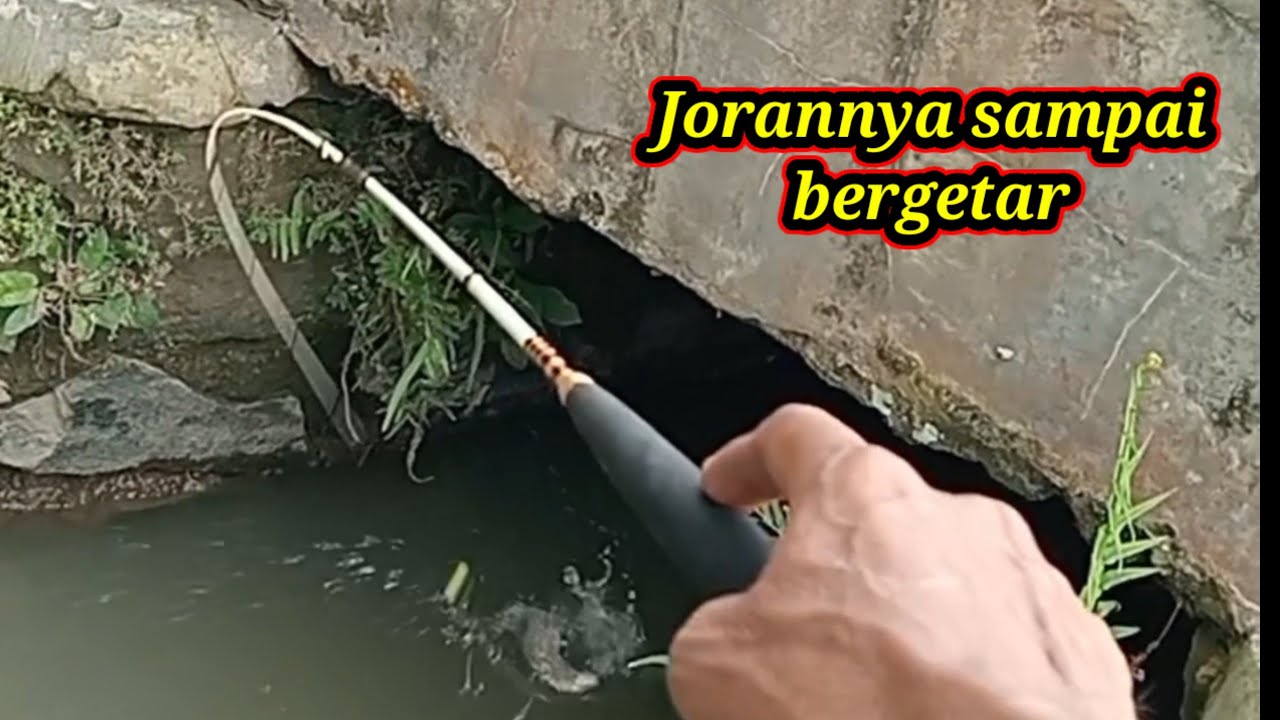 Tarikannya pelan… tapi pas ngelawan bikin gemetar!