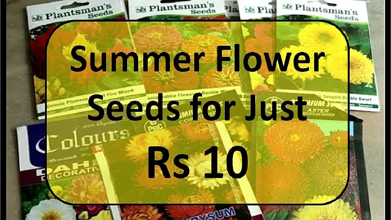 Summer Flower Seeds Online