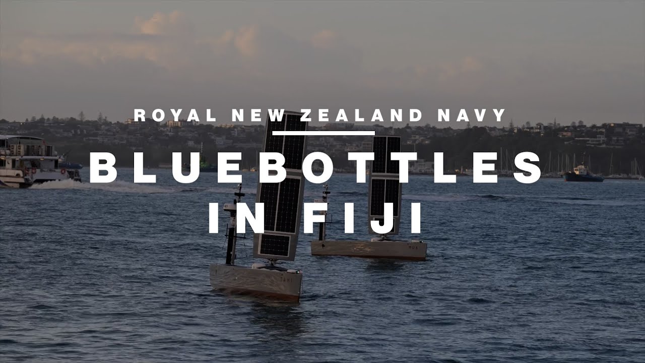 Bluebottles in Fijian waters | Royal New Zealand Navy
