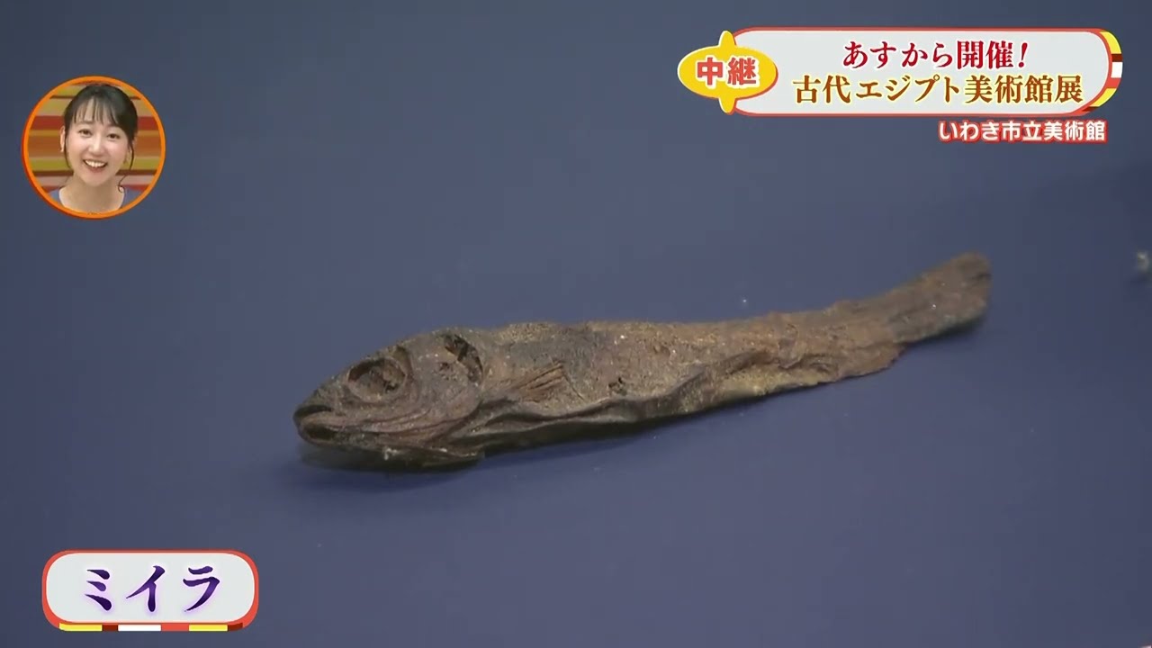 ミイラもやってくる！？いよいよ開幕！古代エジプト美術館展！その魅力とは？
