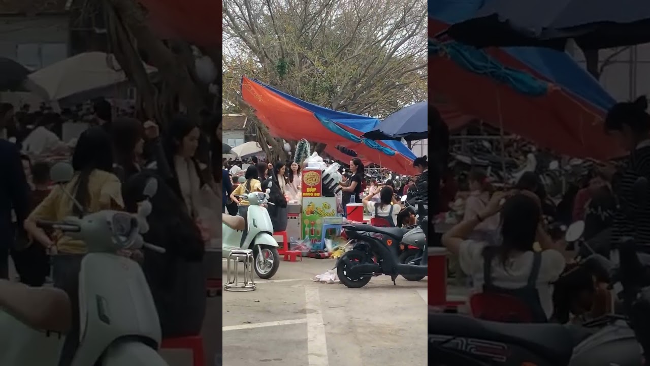 Ngồi tựa mạn thuyền  .mạnh quỳnh trb
