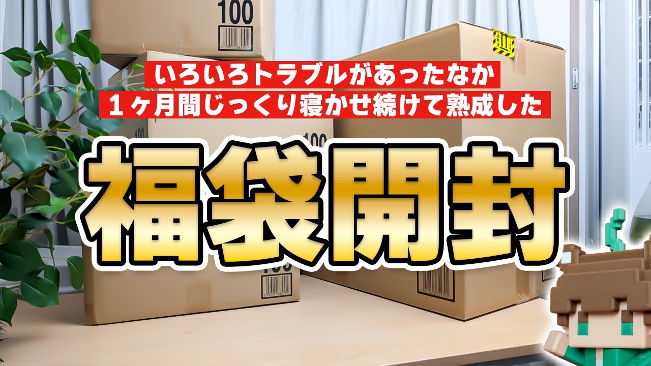 Charm福袋開封！極上流木や人気の流木やあの石も…【ビバアクア】#アクアリウム #熱帯魚