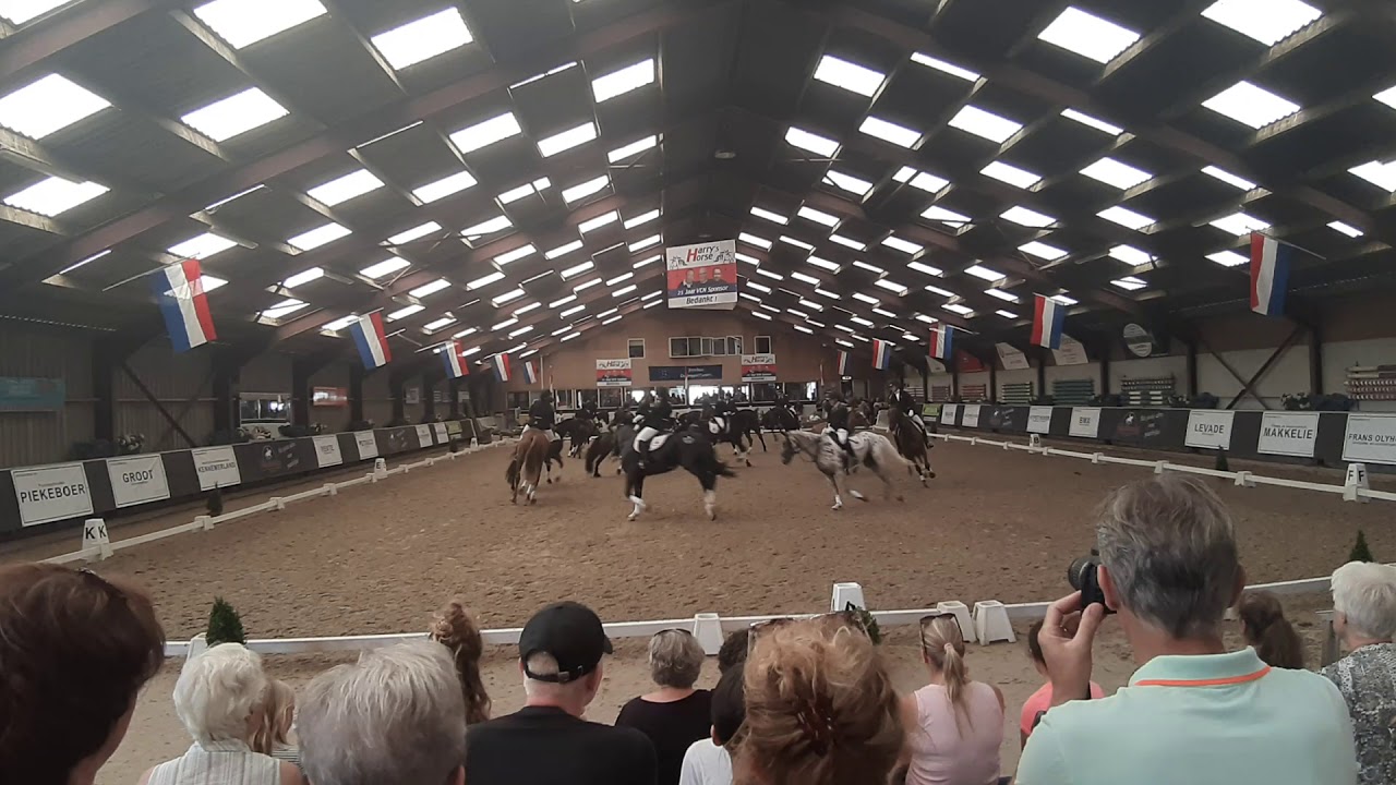 Woeste Woensdag - NK carrousel - Ruitersportcentrum Schoteroog - 30-06-2019 - 10e plaats