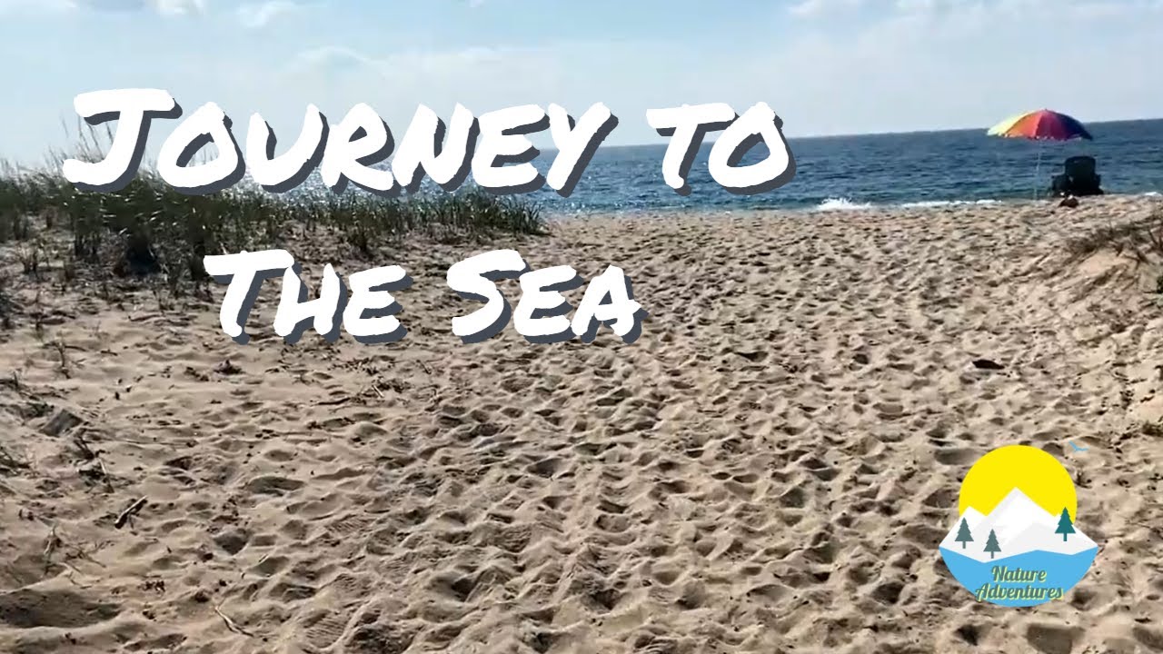 Journey to the sea | Nature Adventures