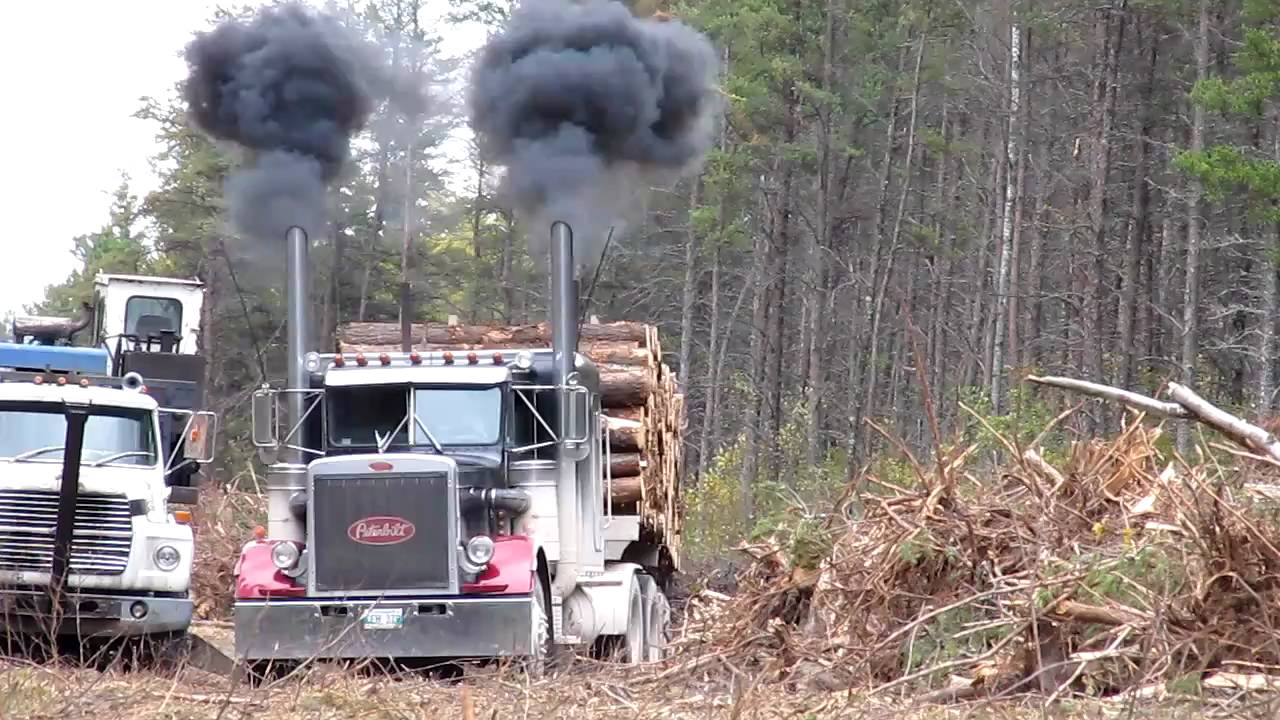 Pete 359 Classic Takeoff