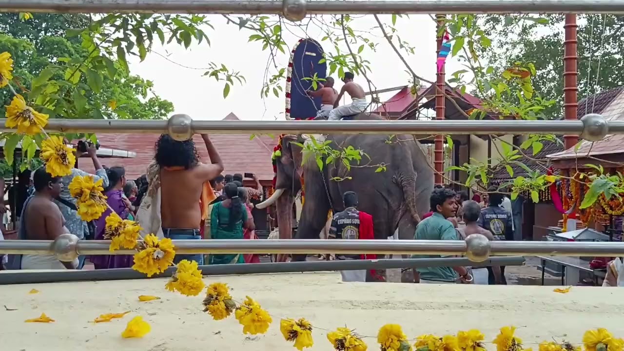 വാഴാലിക്കാവ് വേല 2026 