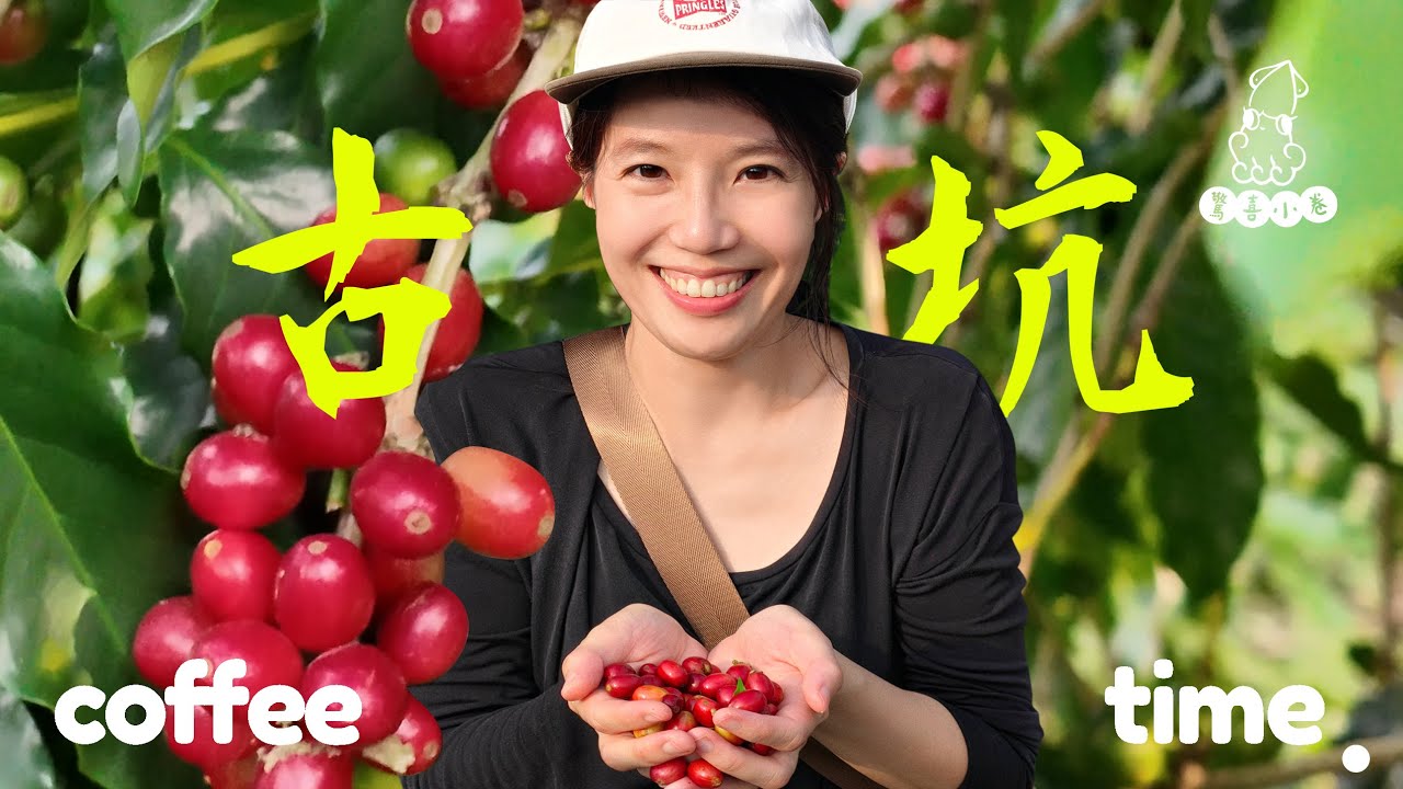 《孩子的第一堂咖啡課☕️》：台灣咖啡園採果初體驗!雲林古坑品香的慢活之旅