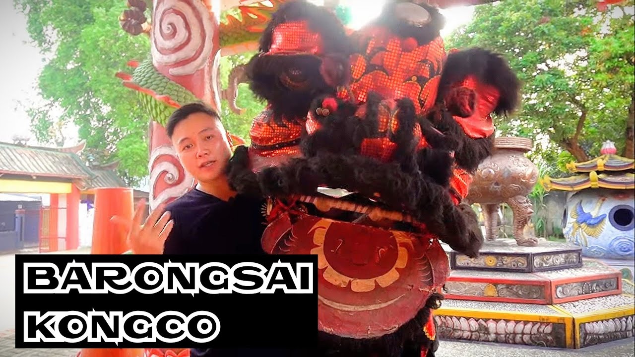 KELOVLOG - REVIEW BARONGSAI 'KONGCO' TJO SU BIO
