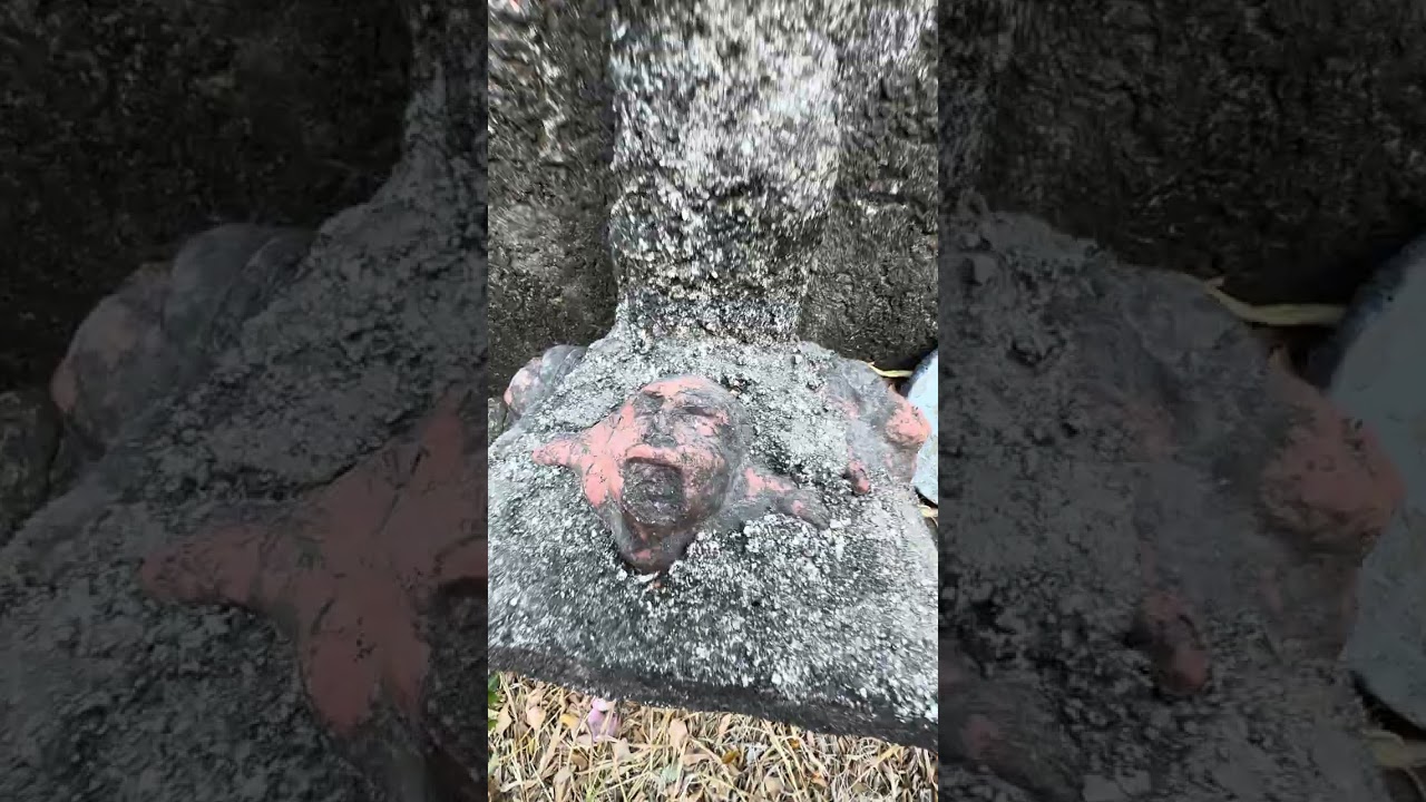 Tumbas antiguas en un demente río de citala 