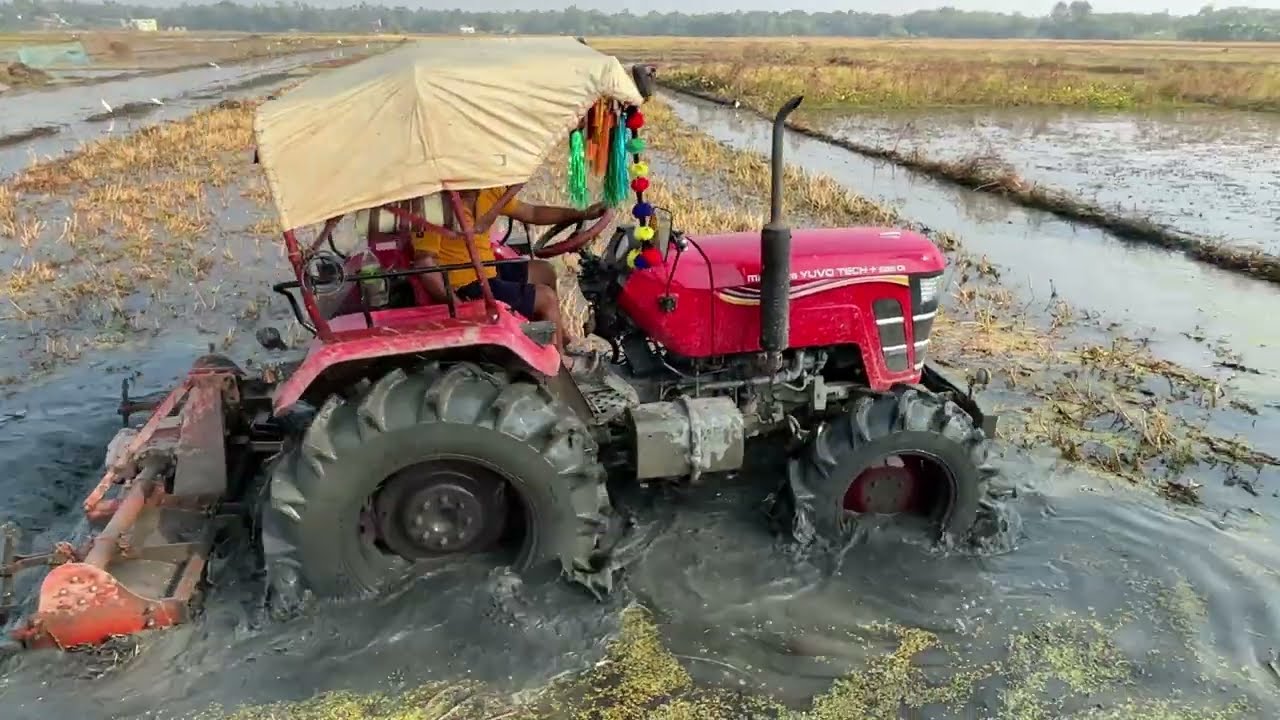 তো বন্ধুরা আমাদের চাষ খুবই জোর কদমে হচ্ছে বোরো ধান জমি চোষা #tractor 
