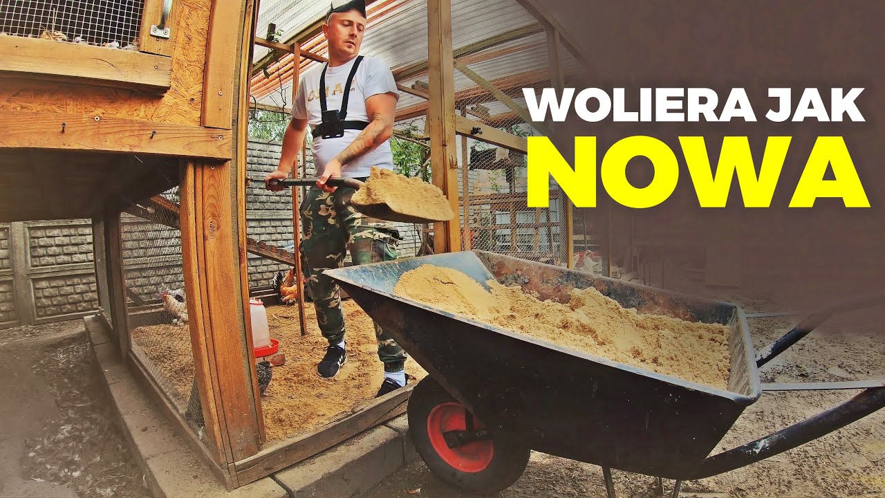 🐓 WOLIERA JAK NOWA 🐓 + ogarniam podw&oacute;rko 🧹 MOJE MINI ZOO / odc. 273