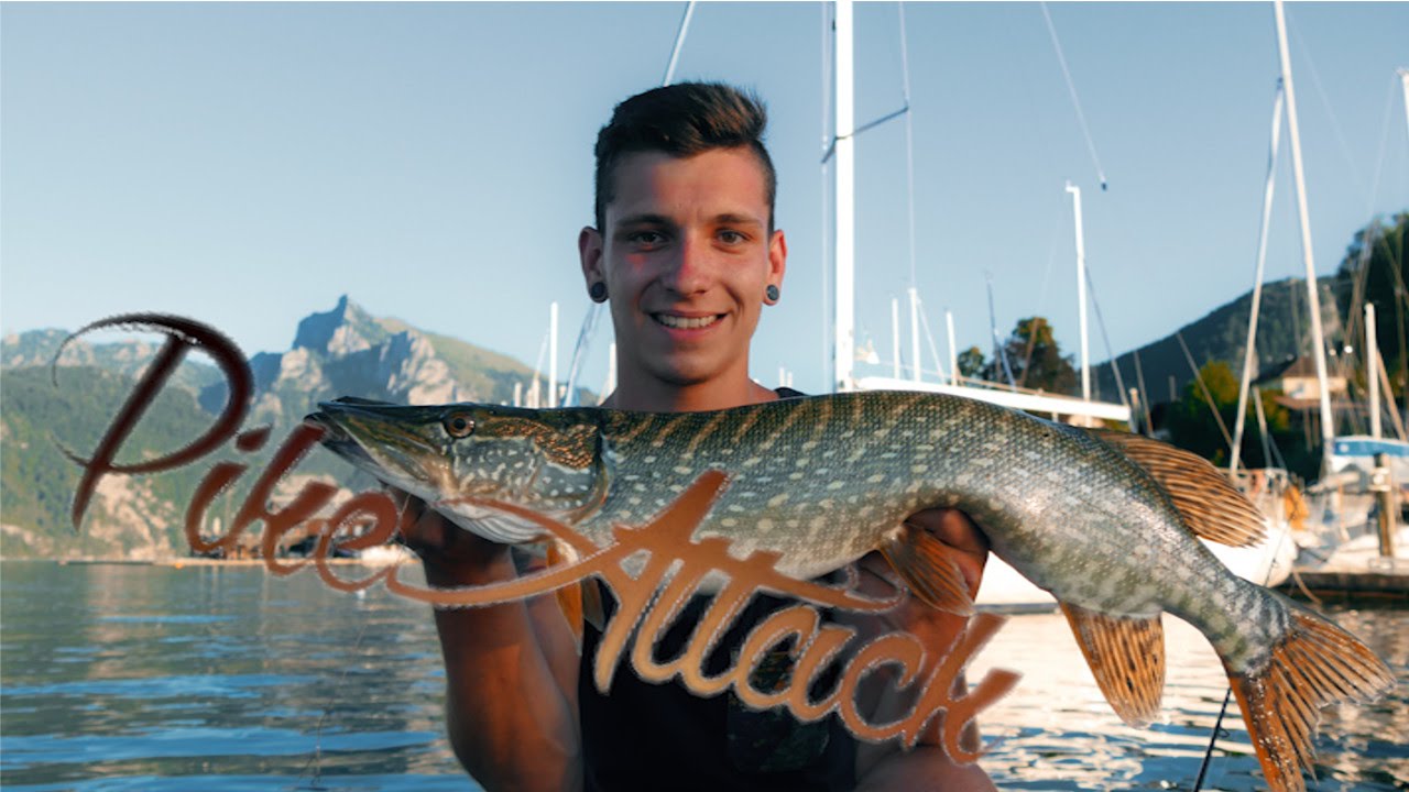 PikeAttack - Fischen am Traunsee auf Hecht und Barsch