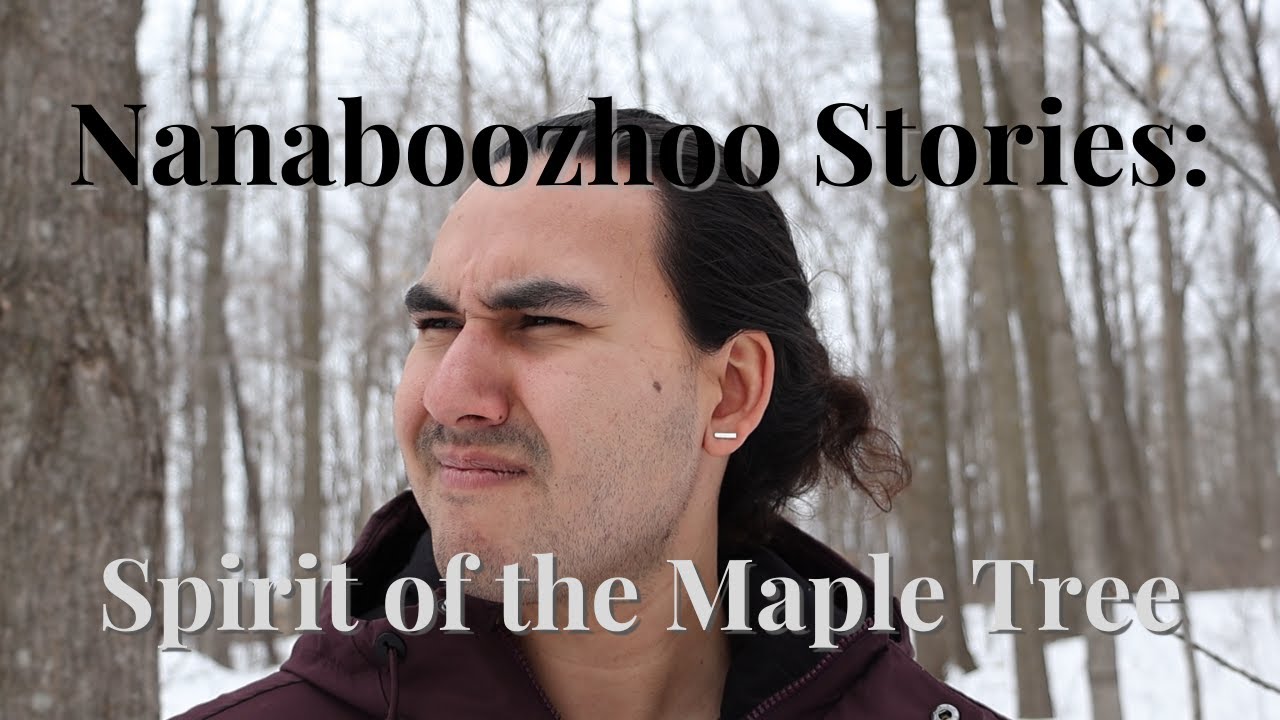 Nanaboozhoo Stories | Nanaboozhoo and the spirit of the Maple Tree