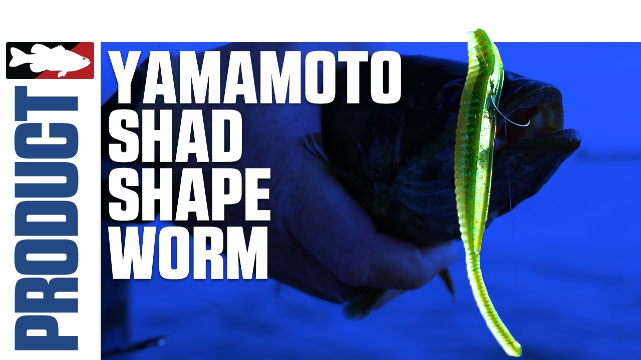 Yamamoto Shad Shape Worm with Cody Meyer