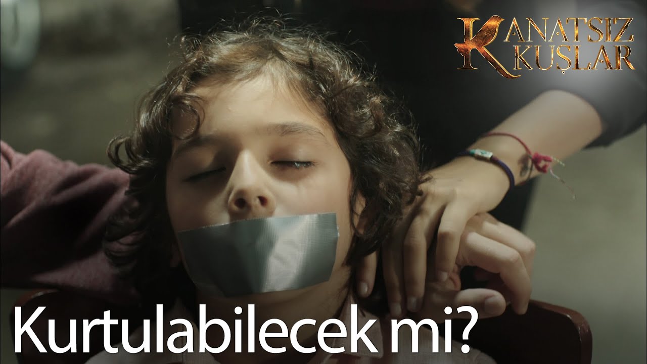 Muzaffer Mert'i kurtarabildi mi? - Kanatsız Kuşlar 15. Bölüm