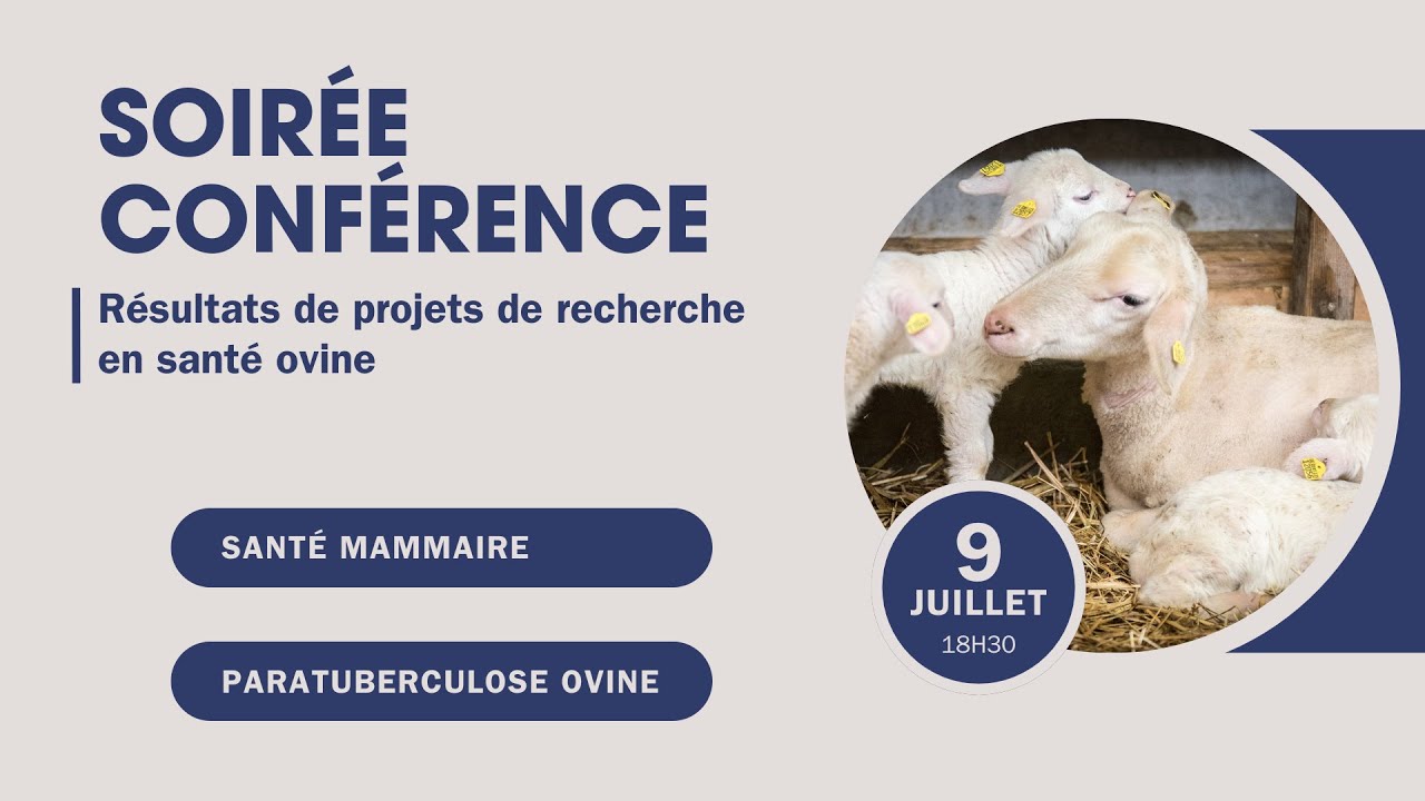 Soirée conférence - Résultats de projets de recherche en santé ovine