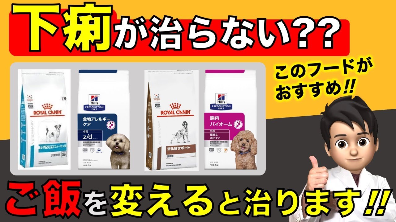 【犬の下痢】食事反応性腸症：ご飯を変えて治る下痢