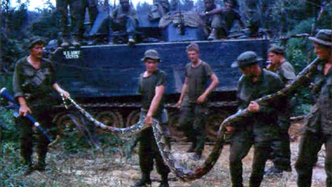 They Lived on Rain and Snakes for 14 Days: The SASR Patrol That 