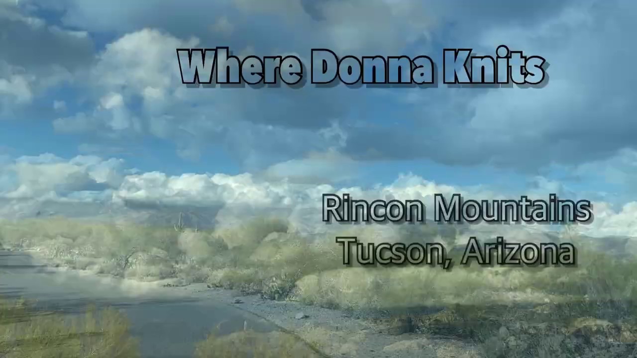 Saguaro National Park East