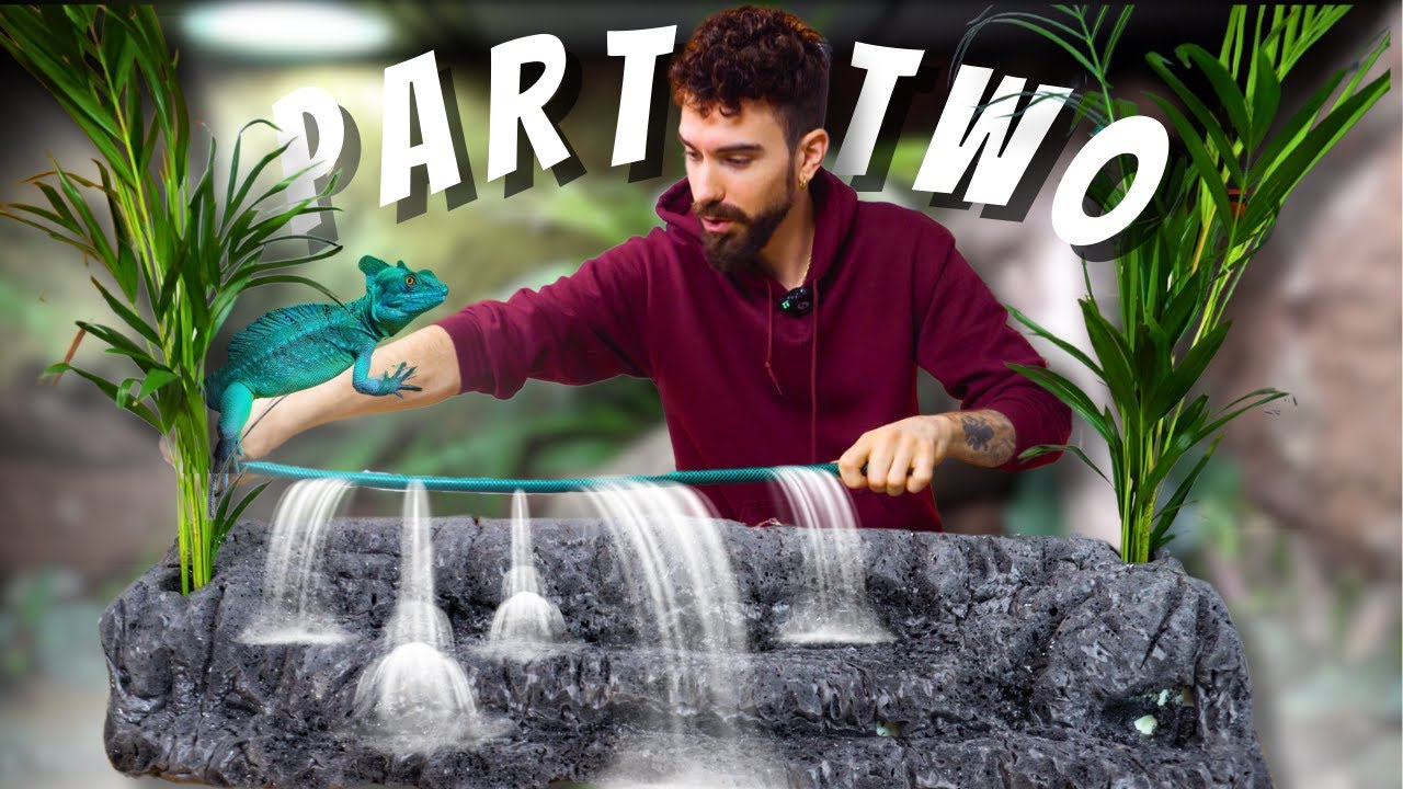 XXL Basilisk Paludarium | Water feature & Hardscape | Part Two