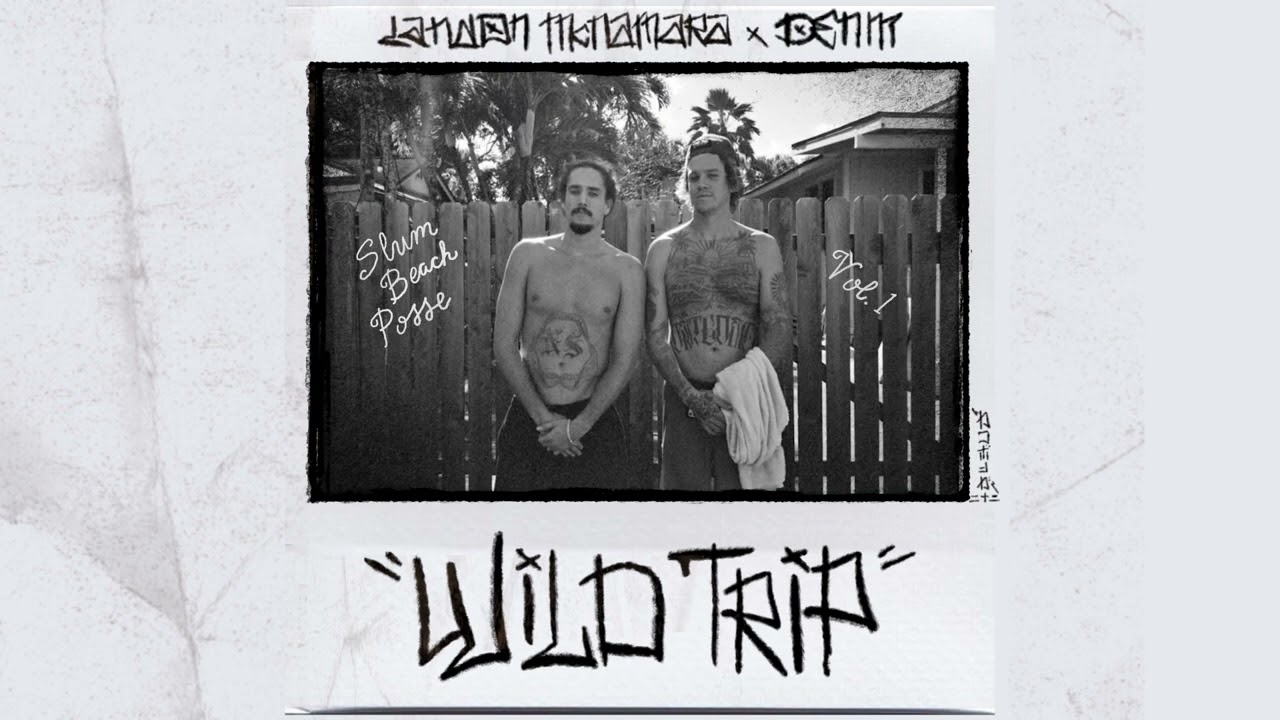 DENM x Landon McNamara - 'Wild Trip' (Official Audio)