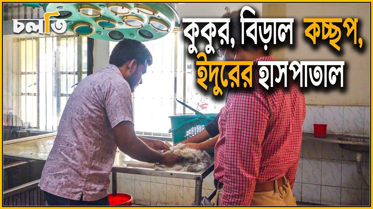 পশুর জন্য এই হাসপাতাল ।Veterinary Hospital Doctor Dhaka, Pet Animal Hospital Dhaka, Poshu Hospital