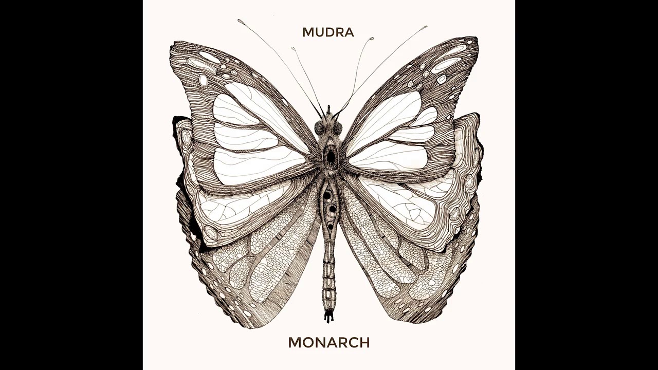 Mudra - Larva