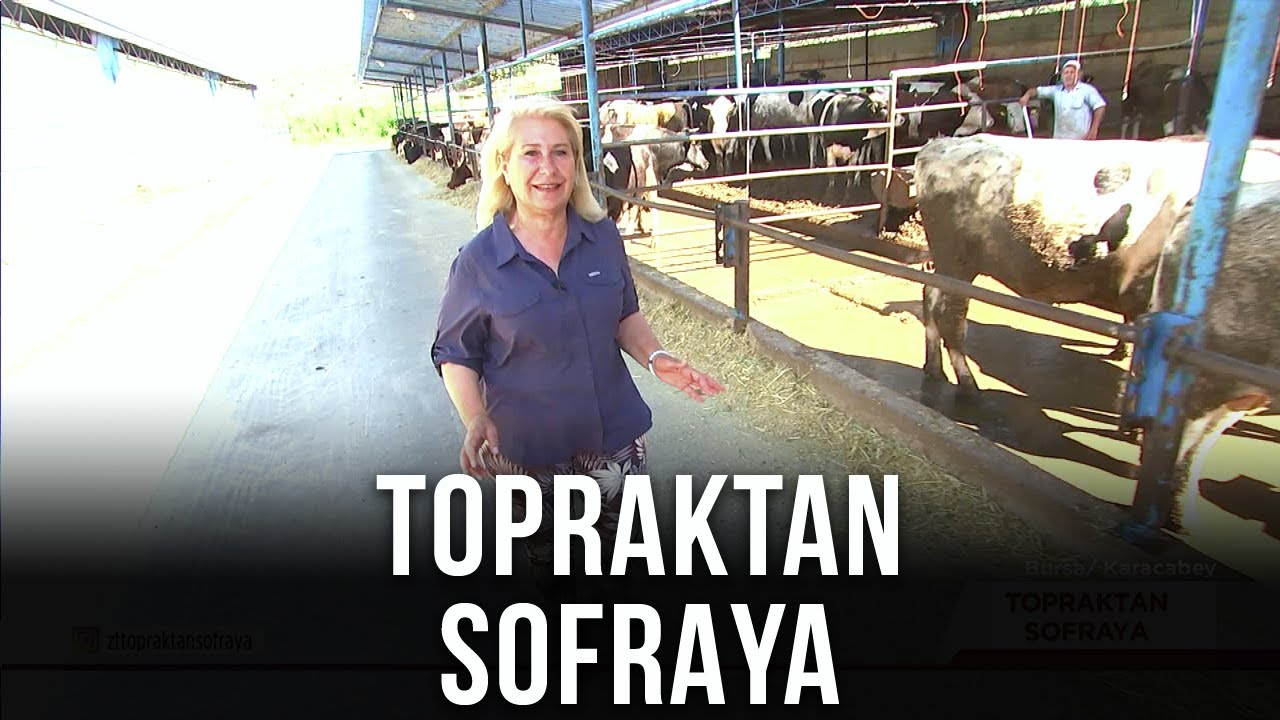 Topraktan Sofraya – Bursa / Karacabey | 16 Ekim