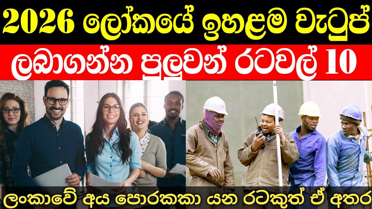 ලෝකයේ ඉහළම වැටුප් ගෙවන රටවල් 10 | 2026 world highest salaries 