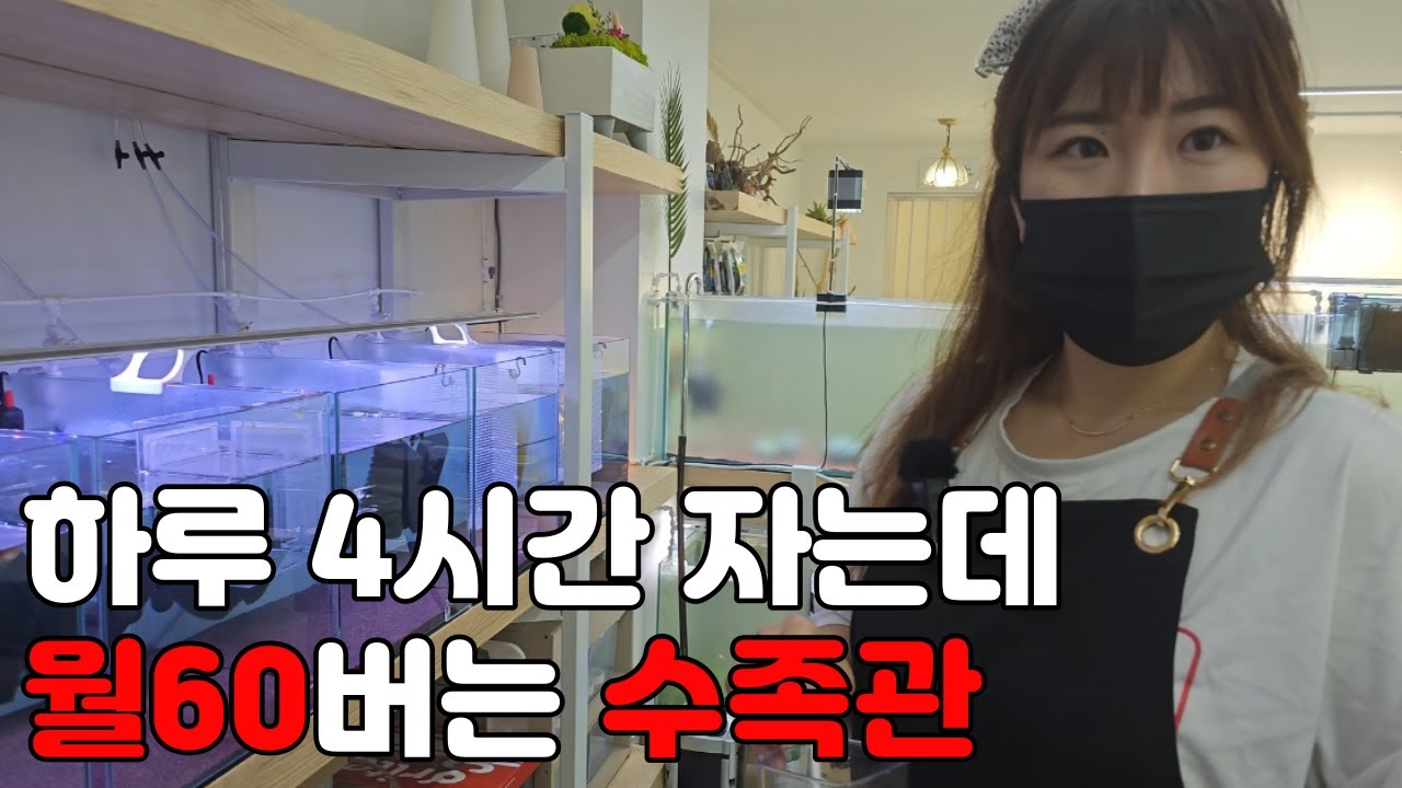 수족관 차리면 안되는 이유.가정주부가 수족관 차리면 벌어지는일.