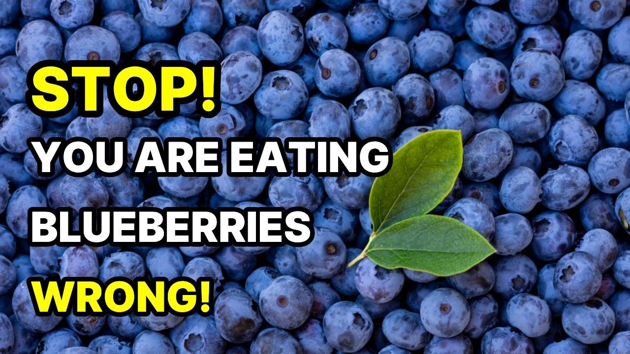 STOP EATING BLUEBERRIES THE WRONG WAY! THE ULTIMATE BRAIN MEDICINE! 🧪