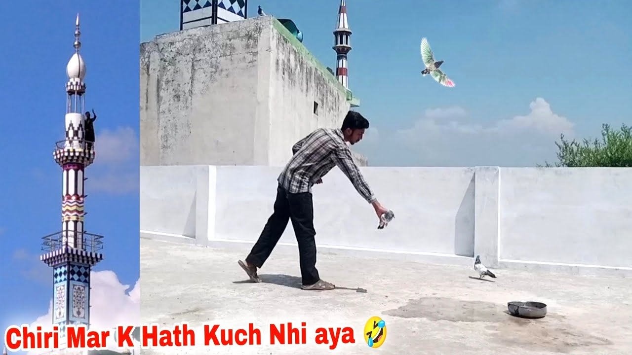کبوتر مینار  سے اڑ کر پانی پر آ گیا Chiri Mar K Hath Kuch Nhi Aya Part 2