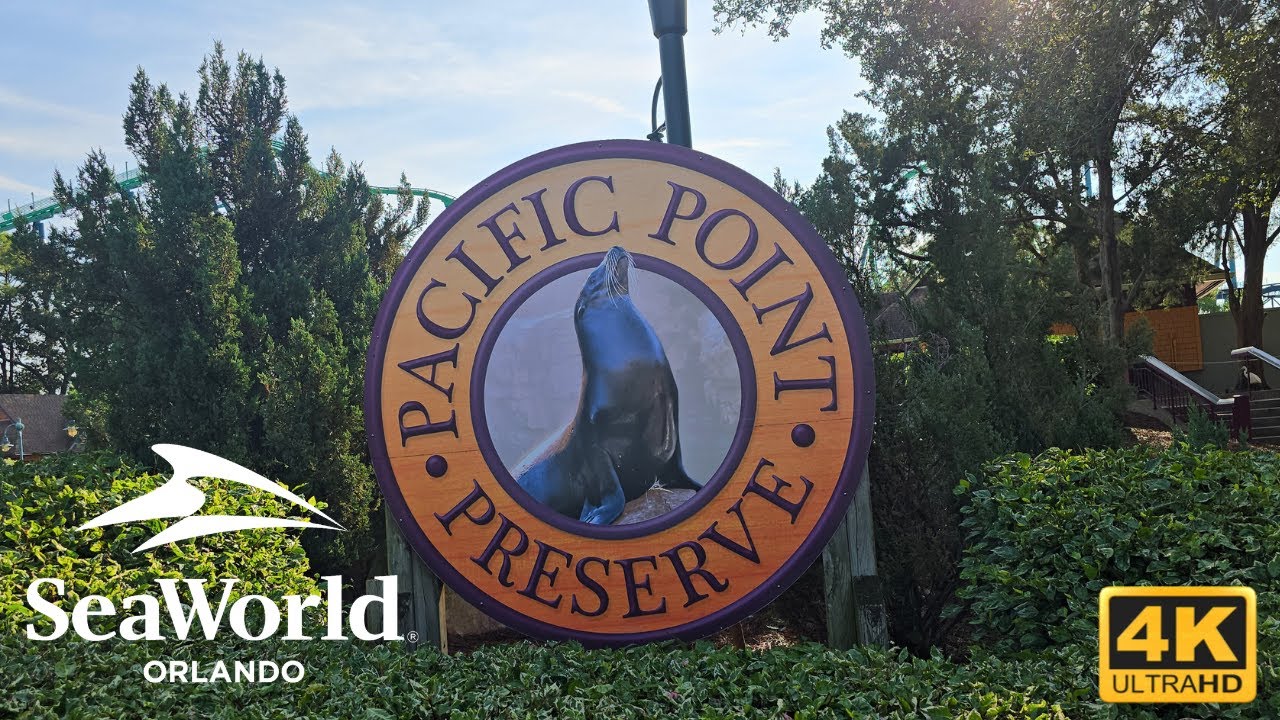 Up Close With Sea Lions at Pacific Point Preserve | SeaWorld Orlando 2025 4K