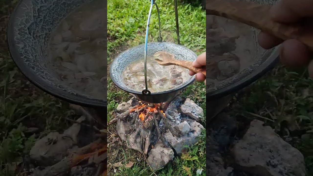Wild rabbit stew cooking in nature | #naturecooking #asmr #recipe