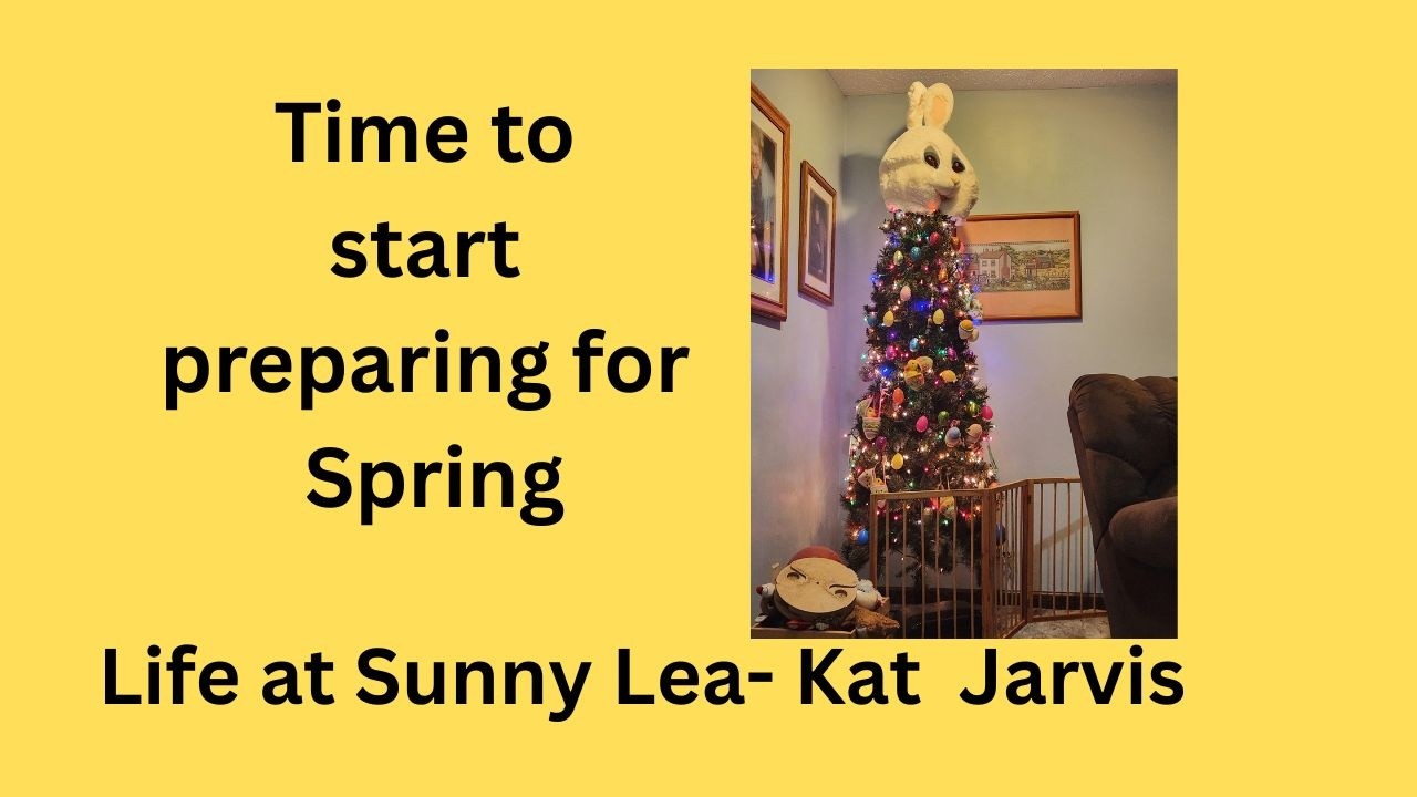 Week 7 Is your home still decorated for the holidays?
