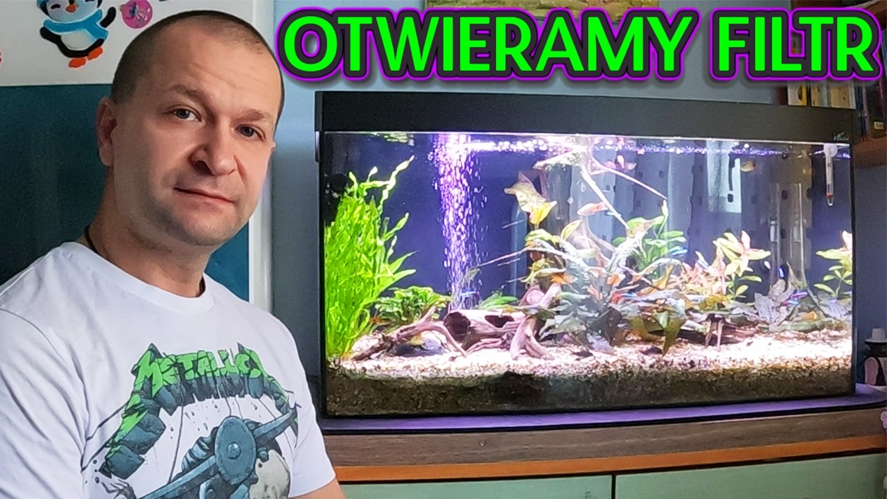 AKWARIUM NA ZIEMI OGRODOWEJ PO ROKU OD ZAŁOŻENIA