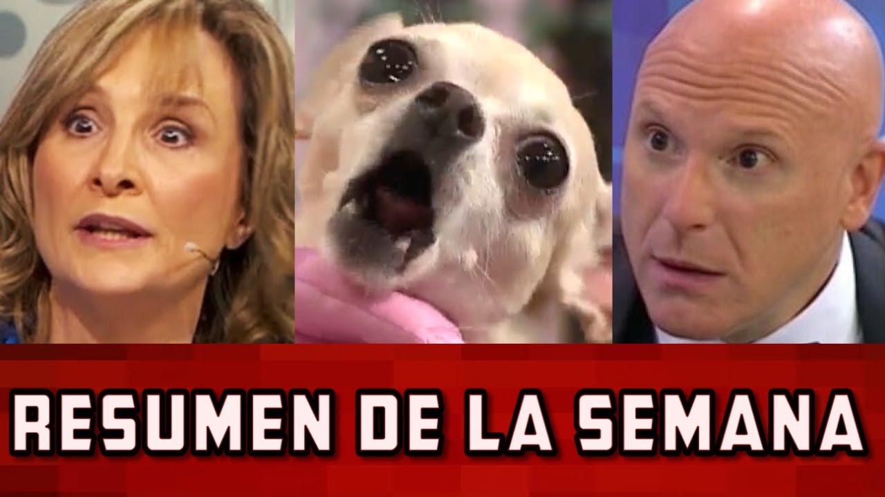 ¡LAURA RAFFO y PETINATTI no tuvieron su mejor semana! | Resumen de la Semana #113 | ZIN TV