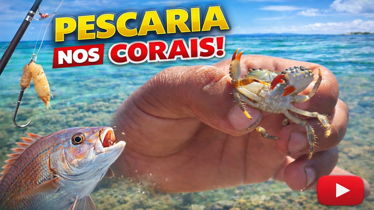 DIA DE PESCARIA NOS CORAIS, VEJA O RESULTADO
