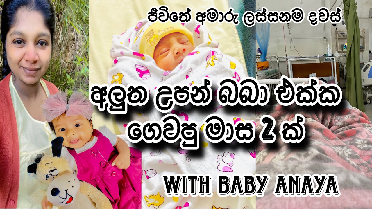 අලුත ඉපදුන බබා එක්ක දවස් ගෙවුනු හැටි 🦋 | new born baby vlog #newbaby #newbornbabyvlog