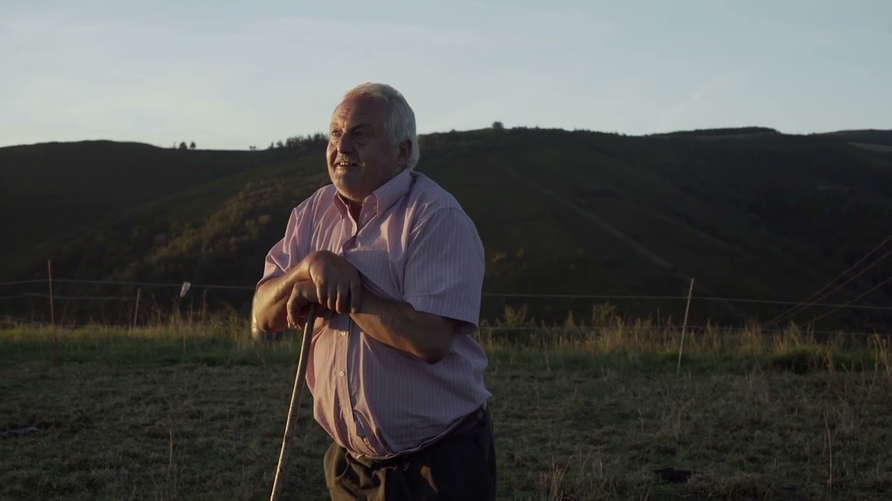 Gandería Heroica - Seio 1