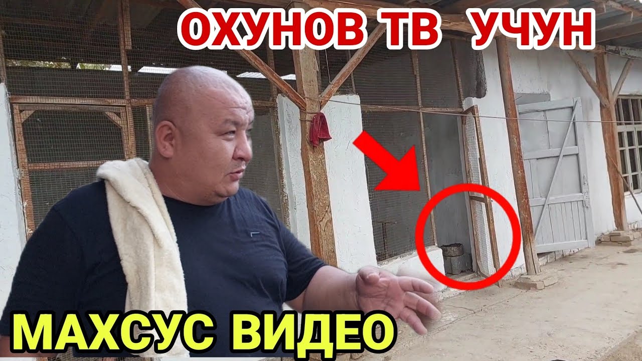 ПАРВОЗЛАР БАХООО БЕРИНГЛАРЧИ..(ОХУНОВ ТВ)