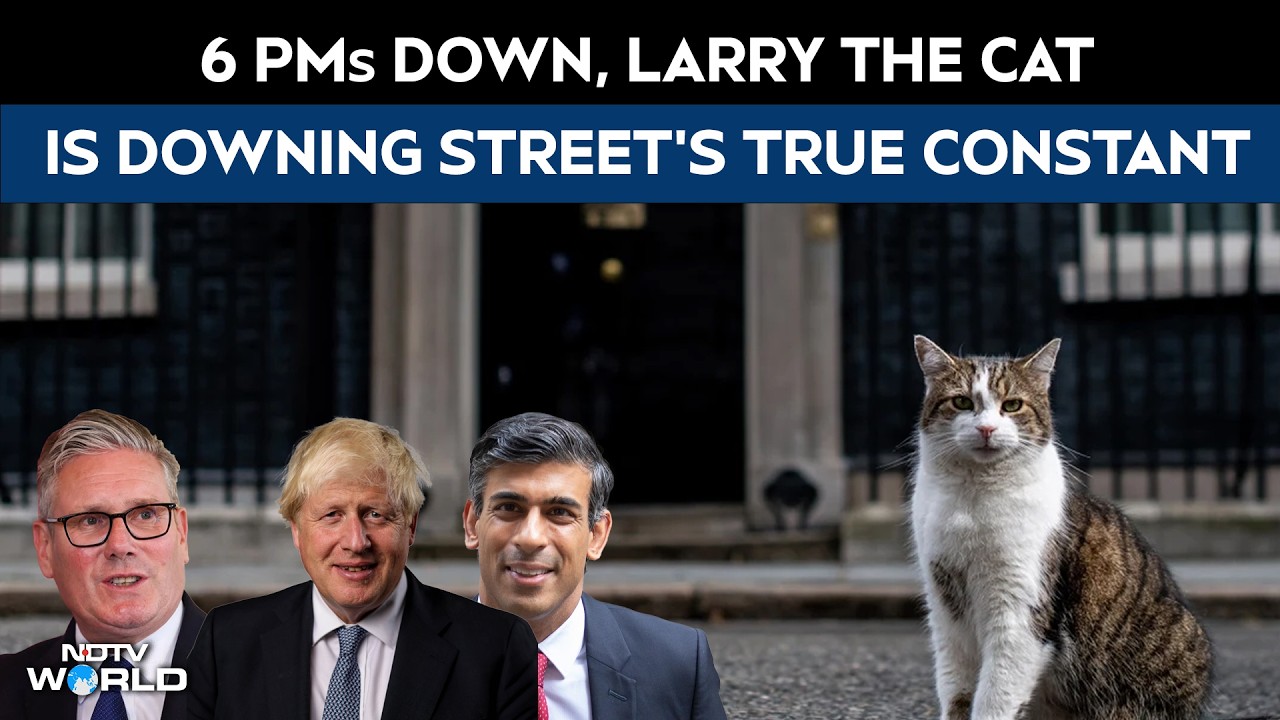 UK News | Six Prime Ministers Later, Larry The Cat Still Rules Downing Street