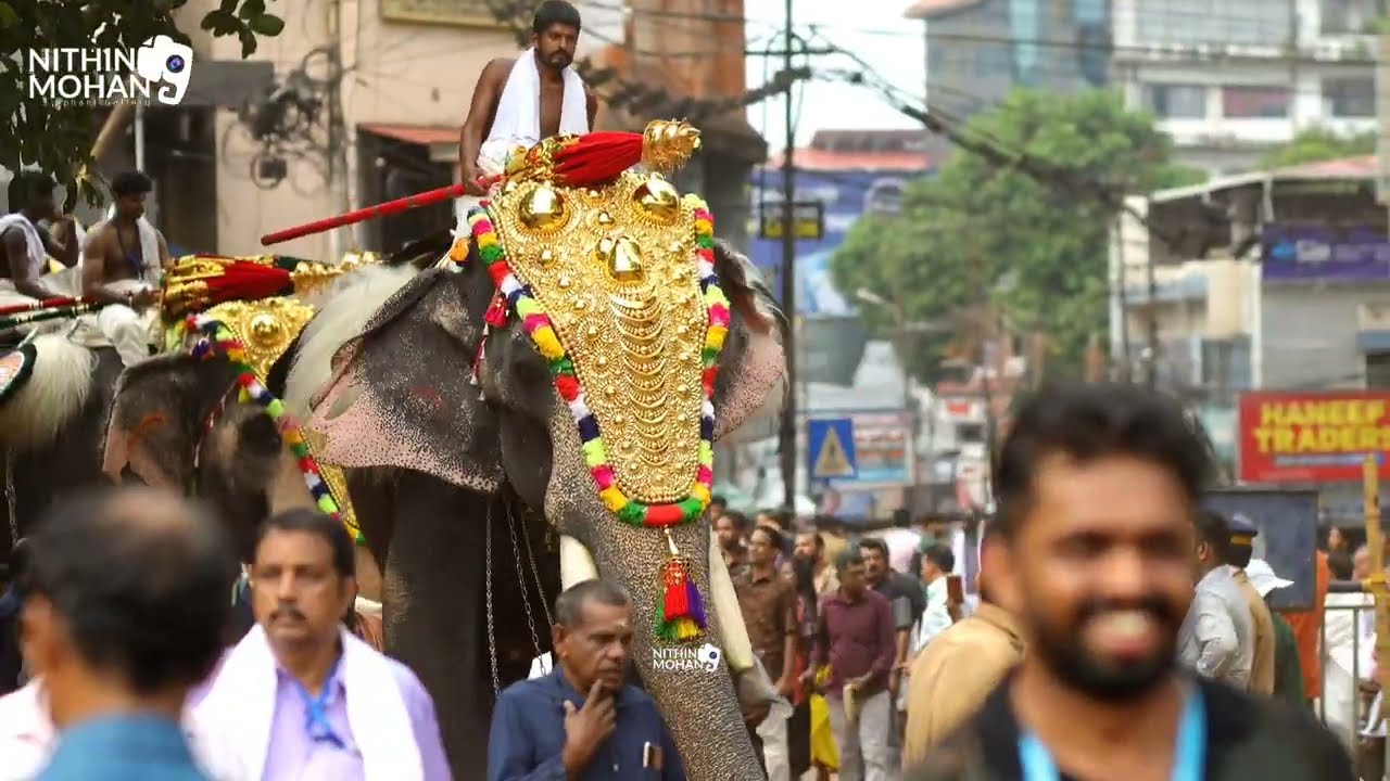 guruvayoor rajasekharan / thrissur pooram 2024