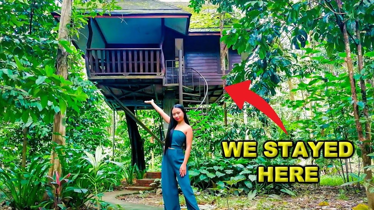 WARNED for UNEXPECTED THIEVES in this TREE TOP HOUSE | KHAO SOK , Thailand